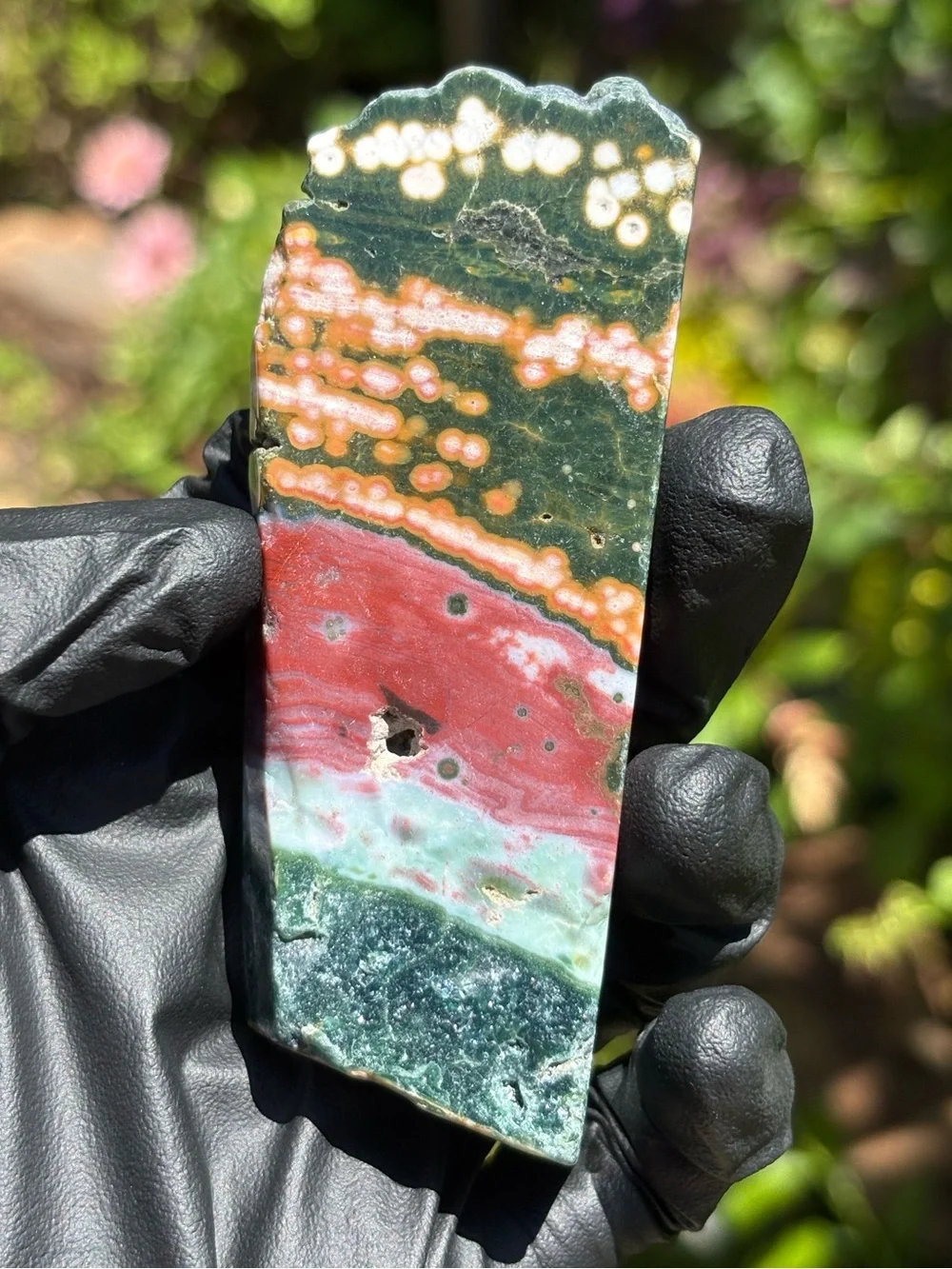Colorful Ocean Jasper Slab - Druzy Sea Jasper - Polished Orbicular Jasper